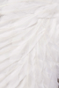 White Angel